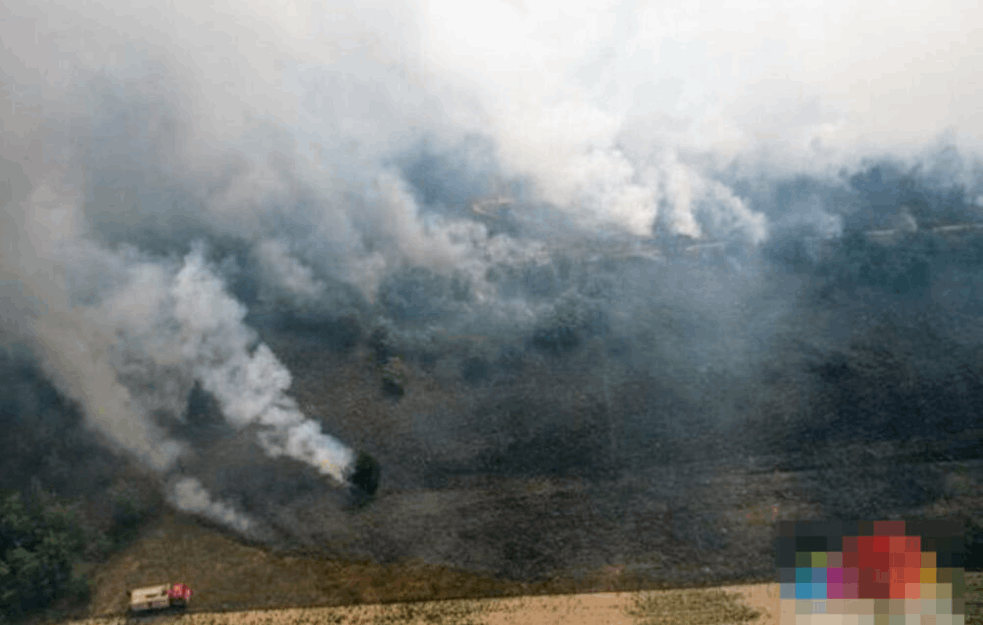 POŽAR KOD SUBOTICE STAVLJEN POD KONTROLU: Izgoreo veliki deo Radanovačke šume! 